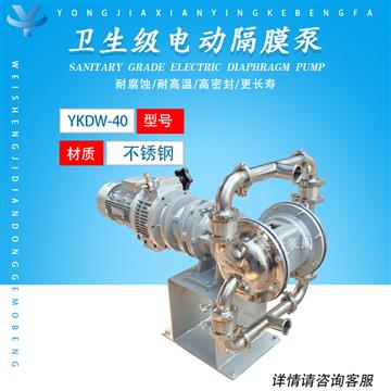 衛(wèi)生型不銹鋼電動(dòng)隔膜泵